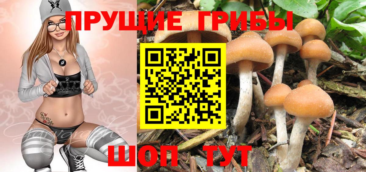 Псилоцибиновые грибы Magic Shrooms  Вход с VPN  Галлюциногенные грибы мицелий  Ялуторовск 