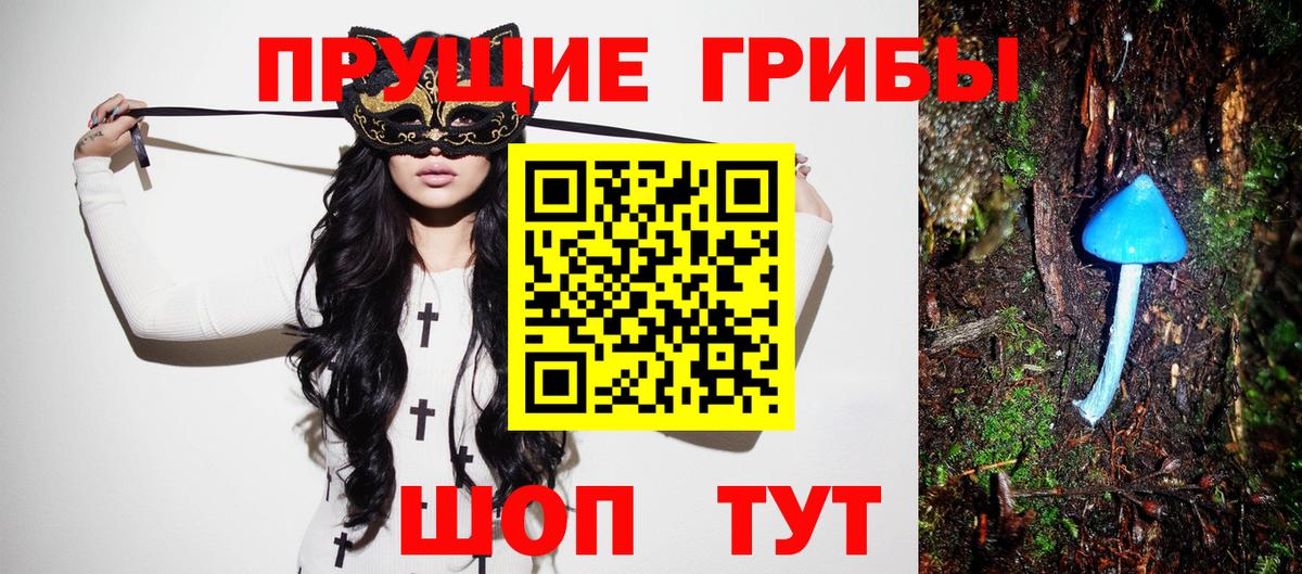Псилоцибиновые грибы Psilocybe Ялуторовск
